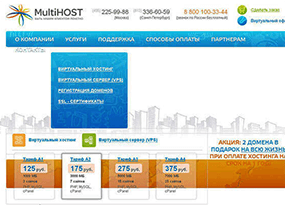 Портфолио продвижения сайта multihost.ru